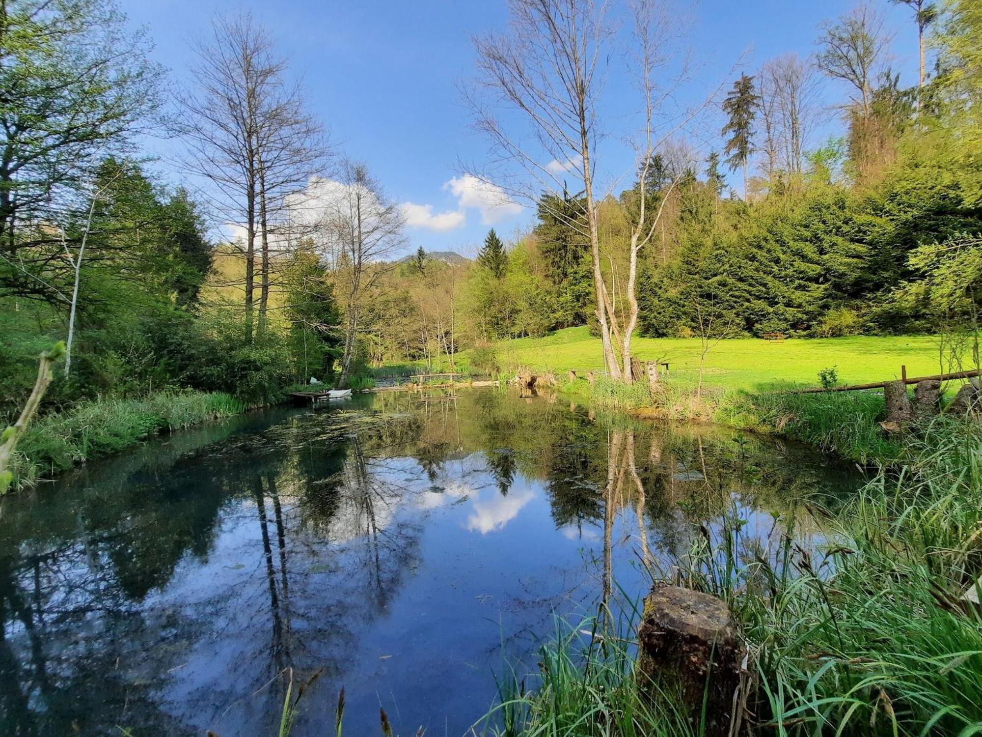 Alpipond Kamnik